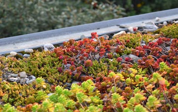 the cost of Eagle green roof installation